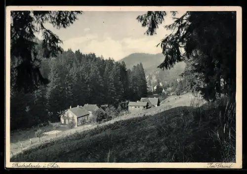 AK Bad Friedrichroda i. Thür., Im Grund, Waldlandschaft, Häuser