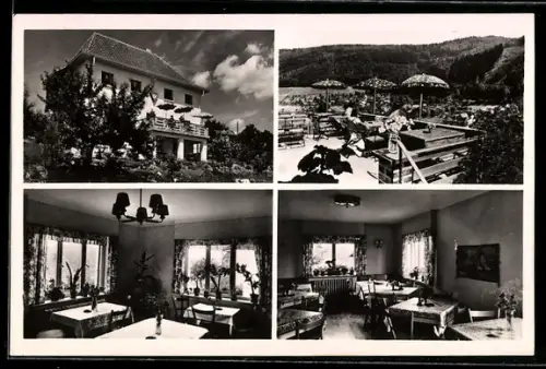 AK Wilhelmsfeld b. Heidelberg, Cafe-Pension Hermanns Ruhe, Innenansicht