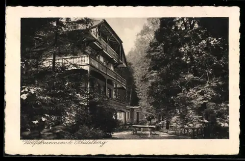 AK Schlierbach-Heidelberg, Restaurant und Pension Wolfsbrunnen