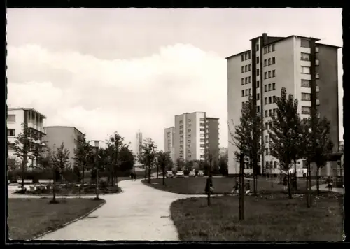 AK Offenbach am Main, Lichtenplatte