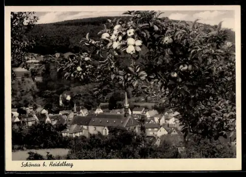AK Schönau b. Heidelberg, Teilansicht mit Kirche