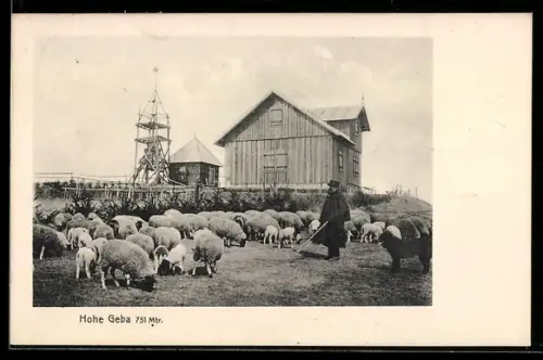AK Hohe Geba, Schäfer mit Schafherde, Gebäude und Aussichtsturm