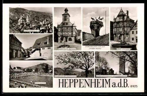 AK Heppenheim a. d. B., Marktplatz Rathaus, Jugendherberge, Storchennest auf dem Halben Mond, Schwimmbad