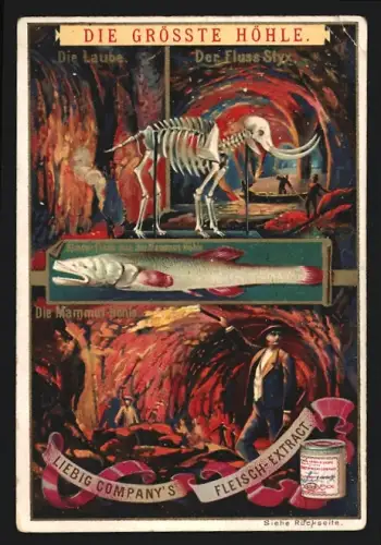Sammelbild Liebig, Fleisch-Extrakt, Die grösste Höhle, Die Laube, der Fluss Styx und die Mamminhöhle