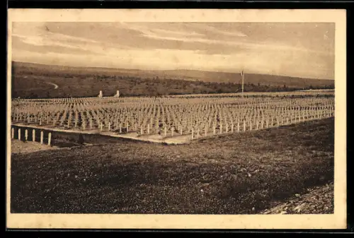 AK Douaumont, National Cemetery of Douaumont with 20,000 graves
