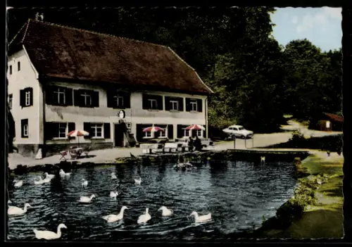 AK Wimsen, Gasthaus und Pension Zur Friedrichshöhle, Teich mit Schwänen