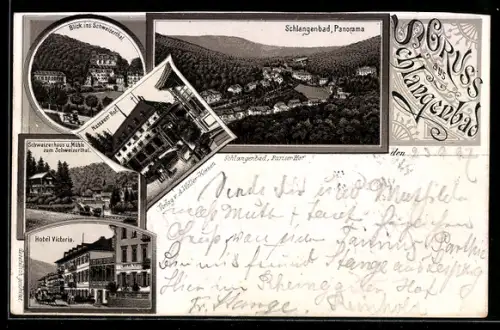 Lithographie Schlangenbad, Hotel Nassauer Hof, Hotel Victoria, Schweizerhaus und Mühle zum Schweizertal
