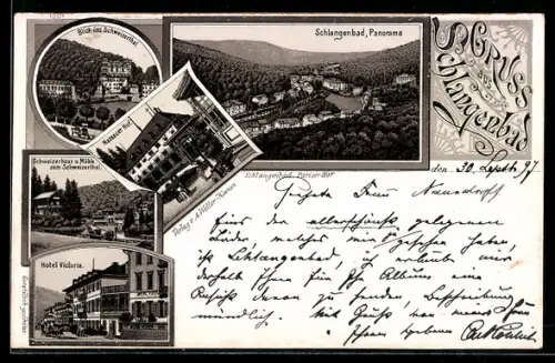 Lithographie Schlangenbad, Hotel Nassauer Hof, Hotel Victoria, Schweizerhaus und Mühle zum Schweizertal