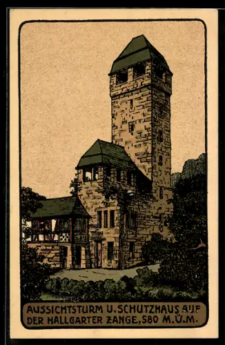 Steindruck-AK Hallgarten, Aussichtsturm und Schutzhaus auf der Hallgarter Zange