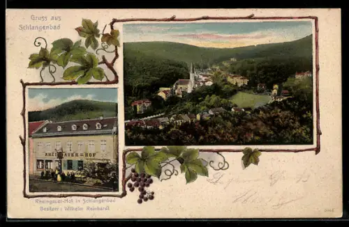 AK Schlangenbad, Hotel Rheingauer-Hof, Besitzer Wilhelm Reinhardt, Ortsansicht