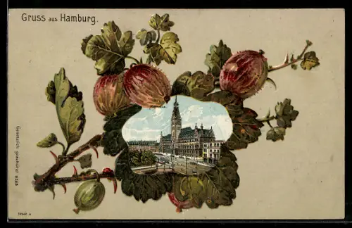 Passepartout-Lithographie Hamburg, Rathaus im Stachelbeerrahmen