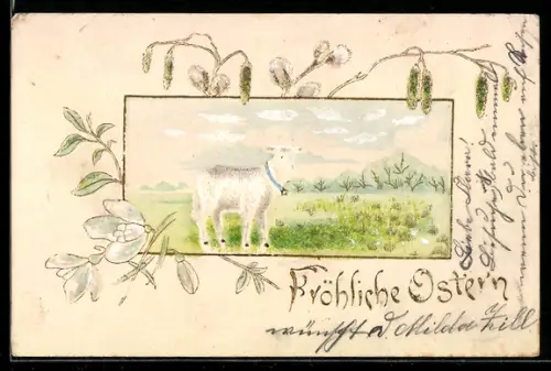 AK Niedliches Schaf auf einer Weide, Ostergruss