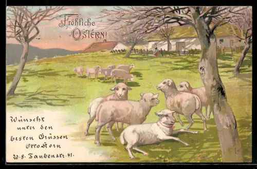 AK Fröhliche Ostern, Lämmchen auf der Wiese