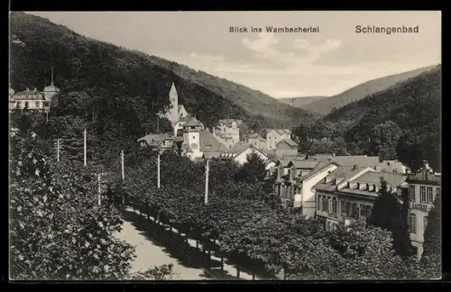 AK Schlangenbad, Blick ins Wambachertal