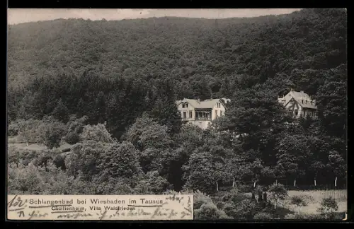 AK Schlangenbad bei Wiesbaden, Cäcilienheim, Villa Waldfrieden