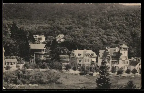 AK Schlangenbad, Mühltal, Villenansicht