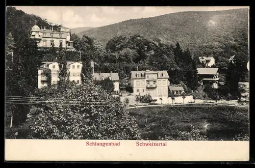 AK Schlangenbad, Schweizerthal, Villenansicht