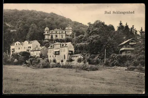 AK Bad Schlangenbad, Villenansicht am Waldrand
