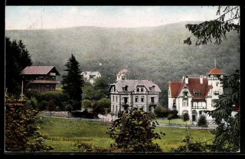 AK Bad Schlangenbad, Villen und Park gegen die bewaldeten Anhöhen