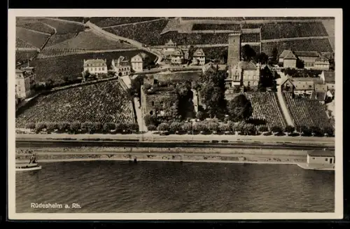 AK Rüdesheim a. Rh., Weinberge, Burgruine, Ortsansicht aus der Vogelschau