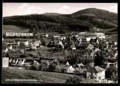 AK Waldmichelbach /Odw., Teilansicht
