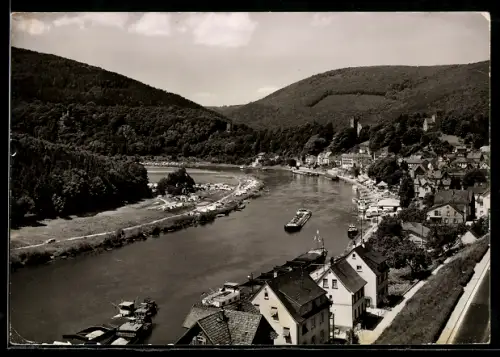 AK Neckarsteinach, Teilansicht von Osten