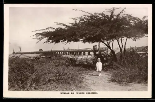 AK Puerto Colombia, Muelle de Puerto Colombia