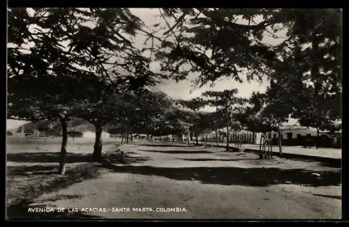 AK Santa Marta, Avenida de las Acacias