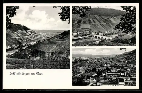 AK Bingen am Rhein, Teilansicht, Brücke, Ortspartie