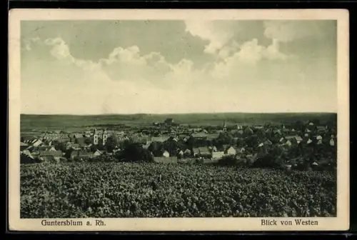 AK Guntersblum a. Rh., Blick auf den Ort von Westen