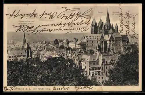 AK Limburg a. L., Schloss und Vincenz-Hospiz, Dom, Stadtkirche und Bischöfliches Palais vom Greifenberg aus