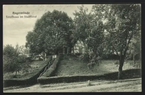 AK Angermünde, Forsthaus im Stadtforst