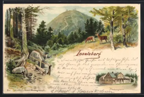 Lithographie Inselsberg, Heuberghaus und Waldpartie