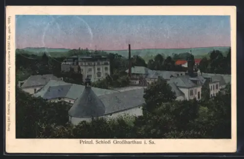 Luna-AK Grossharthau i. Sa., Prinzl. Schloss aus der Vogelschau