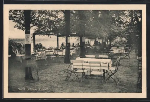 AK Lauenburg a. d. Elbe, Hotel Bellevue, Garten