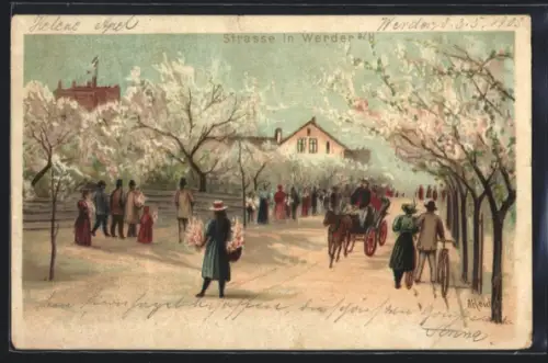 Lithographie Werder a. H., Strasse, blühende Bäume, Spaziergänger, Kutsche