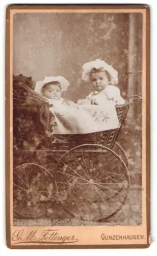 Fotografie G. M. Fettinger, Gunzenhausen, Zwei Kinder im Kinderwagen 1895