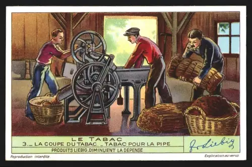 Sammelbild Liebig, Le Tabac, La Coupe du Tabac, Tabac pour la Pipe