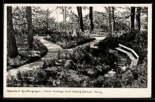 AK Henkenhagen / Ostseebad, Parkanlagen