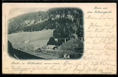 AK Höllenthal /Breisgau, Partie im Höllenthal, Viadukt