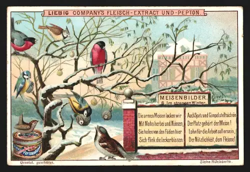 6 Sammelbilder Liebig, Serie Nr. 598: Meisenbilder, Bei der Mahlzeit, In der Not, beim Nestbau