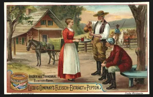 6 Sammelbilder Liebig, Serie Nr. 606: Bilder aus Transvaal, Die Post, Boeren-Farm, Residenz des Präsidenten Krüger