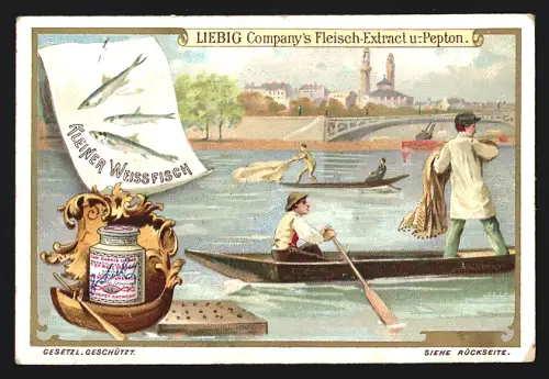 6 Sammelbilder Liebig, Serie Nr. 599: Fischfang, Lachs, Garnele, Gründling, Hering, Krebs, Kleiner Weissfisch