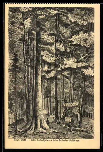 Künstler-AK sign. Hans Pernat: Zwiesel /Bayer. Wald, Prinz Ludwigstanne beim Zwieseler Waldhaus