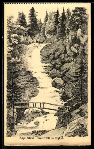 Künstler-AK sign. Hans Pernat: Bodenmais /Bayerischer Wald, Wasserfall im Rissloch