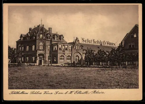 AK Eltville /Rhein, Sektkellerei Schloss Vaux