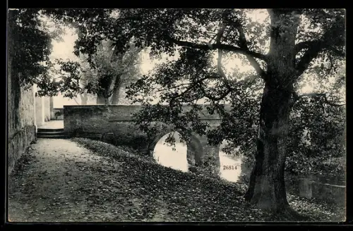 AK Rosslau a. E., Partie an der Schlossbrücke