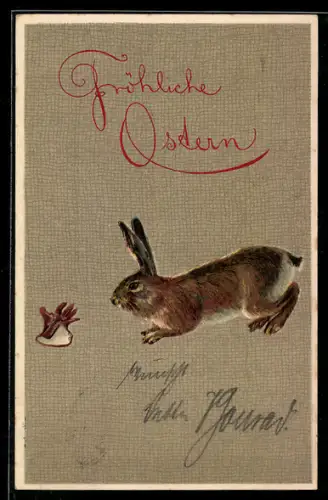 AK Osterhase im Profil