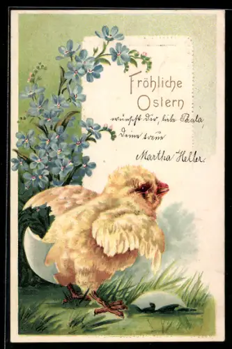 AK Osterküken neben einer Eierschale und Vergissmeinnicht