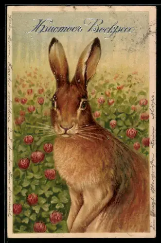 AK Osterhase im Blumenfeld